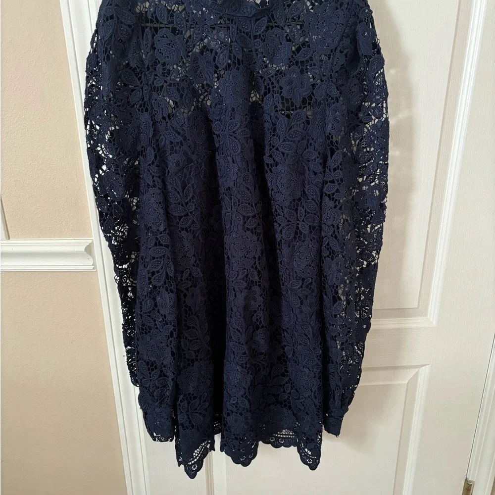 ZAC POSEN
Guipure Lace Mini Dress - Picture 4 of 7